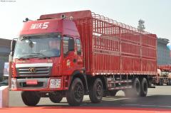 福田 瑞沃ADX 科技版 260馬力 8X4 欄板載貨車(chē)(BJ1312VPPHJ-F1)