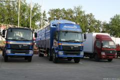 福田 歐曼CTX 5系重卡 210馬力 6X2 短軸倉柵載貨車(chē)(鉑金斯)(BJ5253VMCHH-S1)