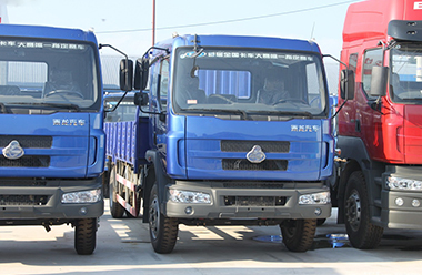 東風(fēng)柳汽 乘龍609中卡 140馬力 4X2 排半載貨車(chē)(LZ1163RAP)